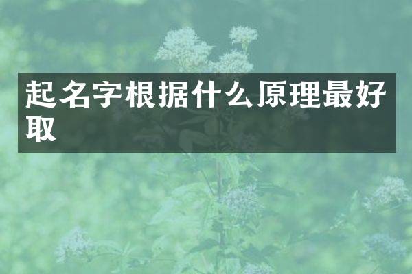 起名字根据什么原理最好取