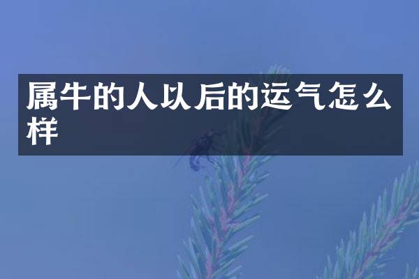属牛的人以后的运气怎么样