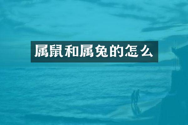 属鼠和属兔的怎么