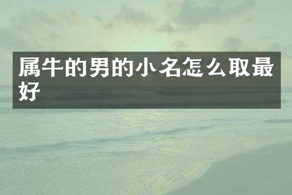 属牛的男的小名怎么取最好