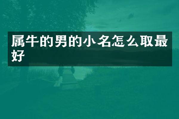 属牛的男的小名怎么取最好