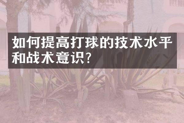 如何提高打球的技术水平和战术意识？