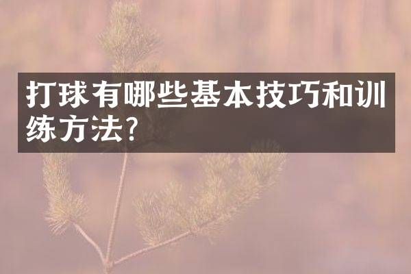 打球有哪些基本技巧和训练方法？