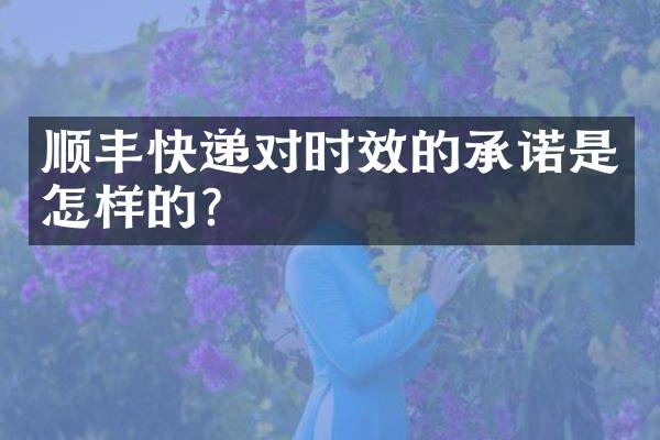 顺丰快递对时效的承诺是怎样的？