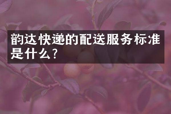 韵达快递的配送服务标准是什么？