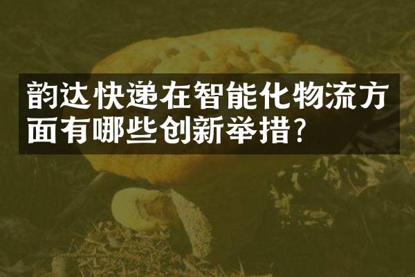 韵达快递在智能化物流方面有哪些创新举措？
