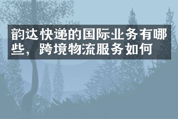 韵达快递的国际业务有哪些，跨境物流服务如何？