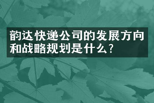 韵达快递公司的发展方向和战略规划是什么？