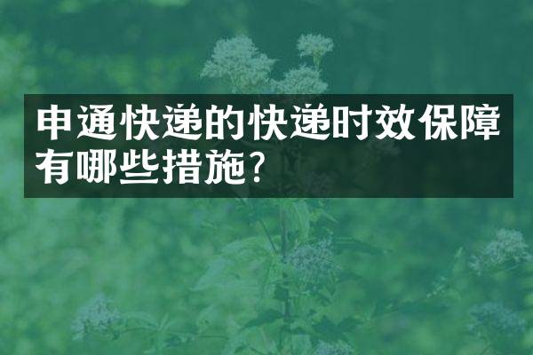 申通快递的快递时效保障有哪些措施？