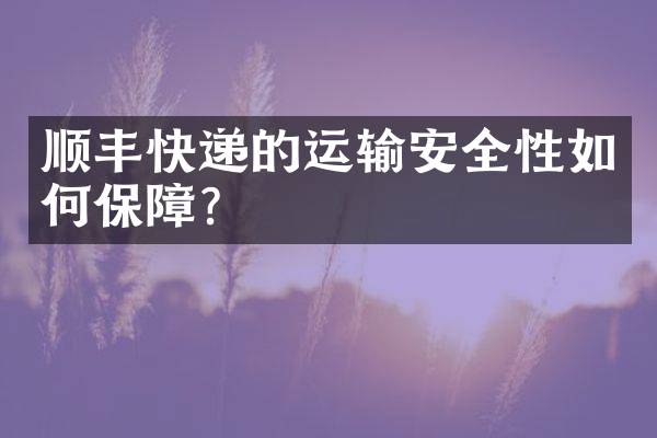 顺丰快递的运输安全性如何保障？