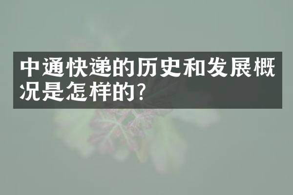 中通快递的历史和发展概况是怎样的？