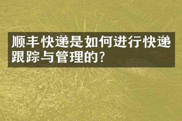 顺丰快递是如何进行快递与管理的？