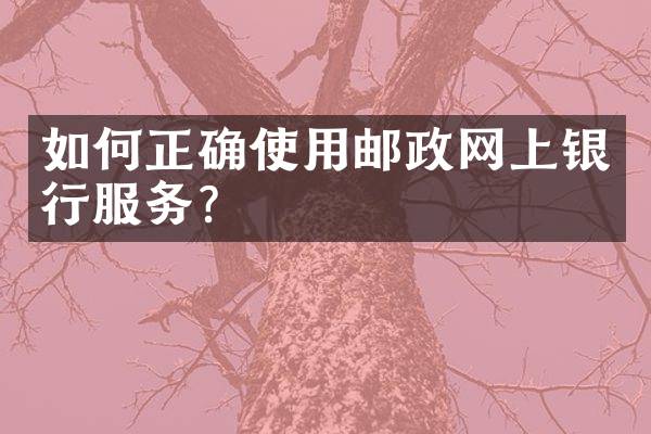如何正确使用邮政网上银行服务？