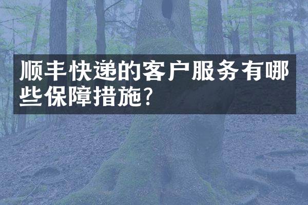 顺丰快递的客户服务有哪些保障措施？