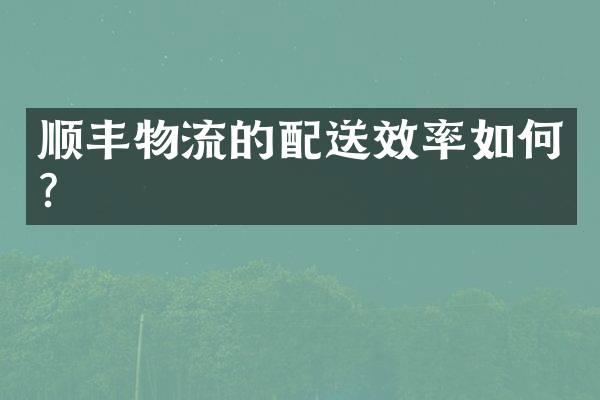 顺丰物流的配送效率如何？