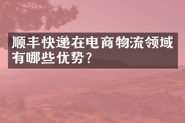顺丰快递在电商物流领域有哪些优势？