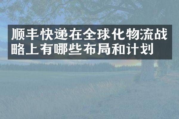顺丰快递在全球化物流战略上有哪些布局和计划？