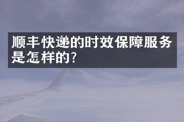 顺丰快递的时效保障服务是怎样的？
