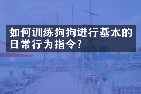 如何训练狗狗进行基本的日常行为指令？