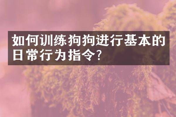 如何训练狗狗进行基本的日常行为指令？