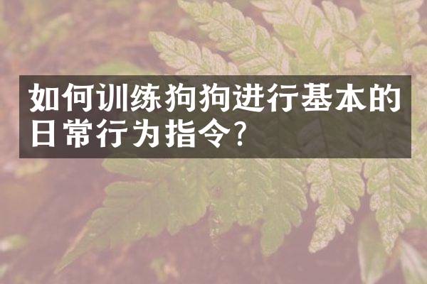 如何训练狗狗进行基本的日常行为指令？