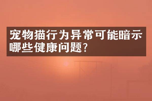 宠物猫行为异常可能暗示哪些健康问题？