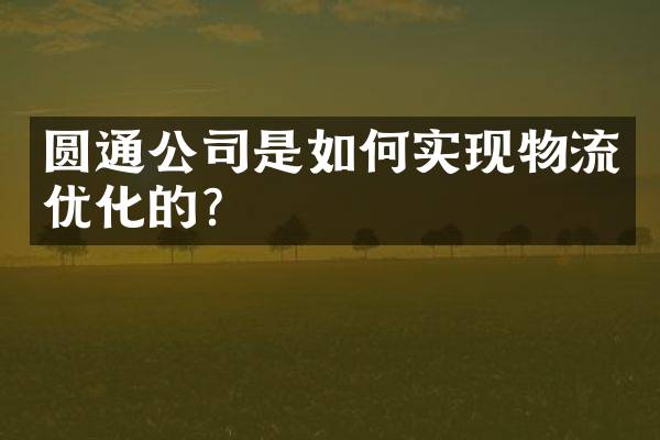 圆通公司是如何实现物流优化的？