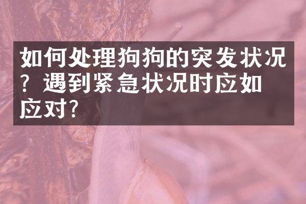 如何处理狗狗的突发状况？遇到紧急状况时应如何应对？