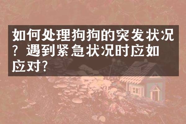如何处理狗狗的突发状况？遇到紧急状况时应如何应对？