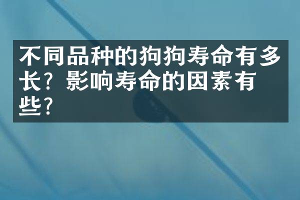 不同品种的狗狗寿命有多长？影响寿命的因素有哪些？