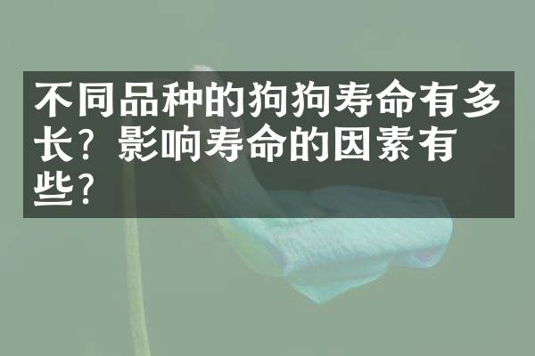 不同品种的狗狗寿命有多长？影响寿命的因素有哪些？
