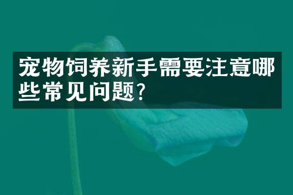 宠物饲养新手需要注意哪些常见问题？