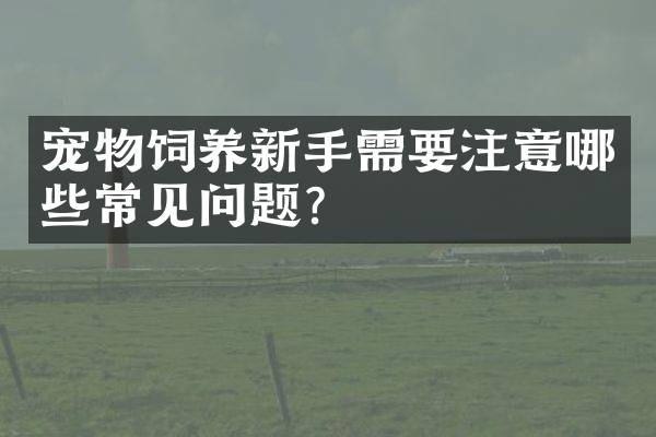 宠物饲养新手需要注意哪些常见问题？