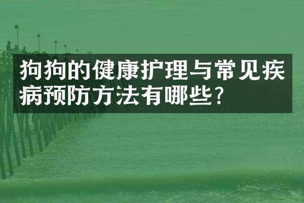 狗狗的健康护理与常见疾病预防方法有哪些？
