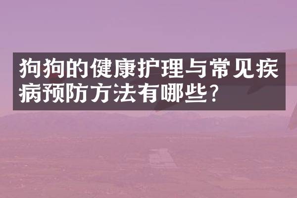 狗狗的健康护理与常见疾病预防方法有哪些？