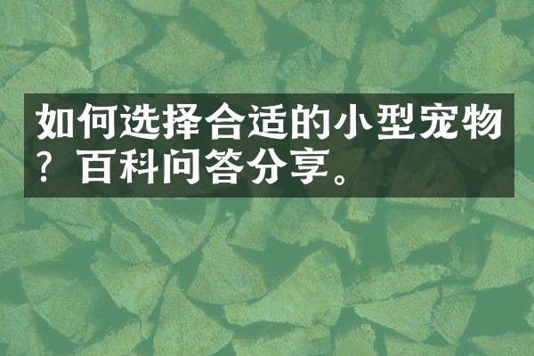 如何选择合适的小型宠物？百科问答分享。