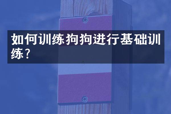 如何训练狗狗进行基础训练？