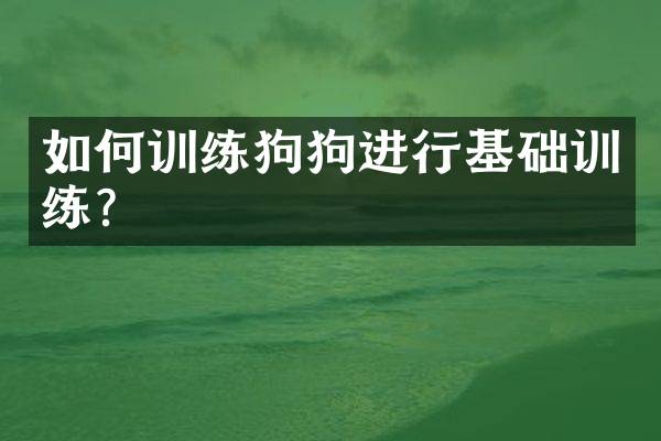 如何训练狗狗进行基础训练？