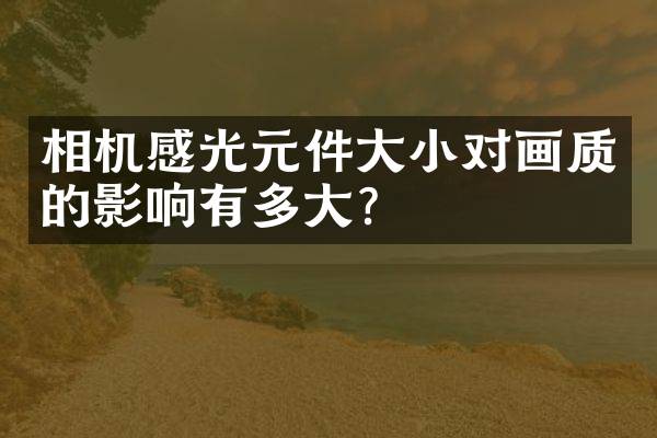 相机感光元件大小对画质的影响有多大？