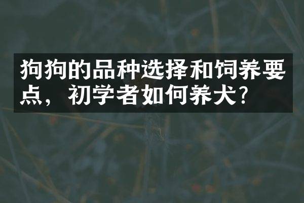 狗狗的品种选择和饲养要点，初学者如何养犬？