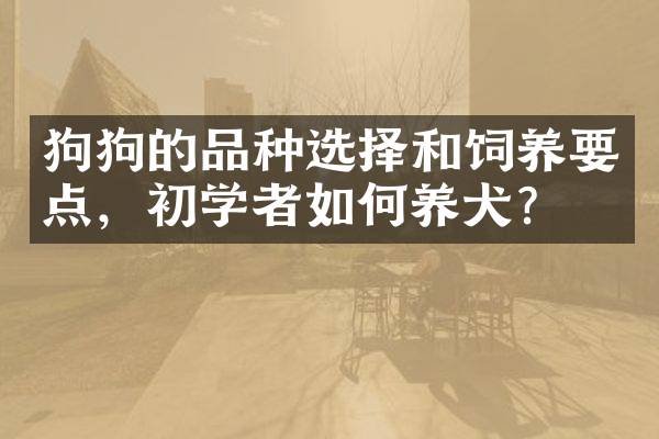 狗狗的品种选择和饲养要点，初学者如何养犬？