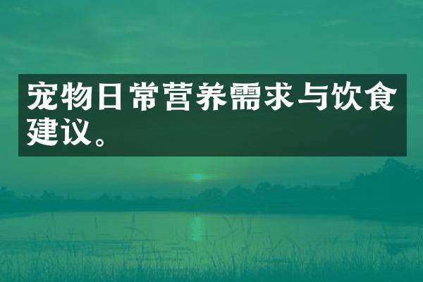 宠物日常营养需求与饮食建议。