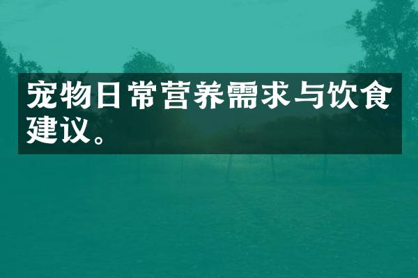 宠物日常营养需求与饮食建议。