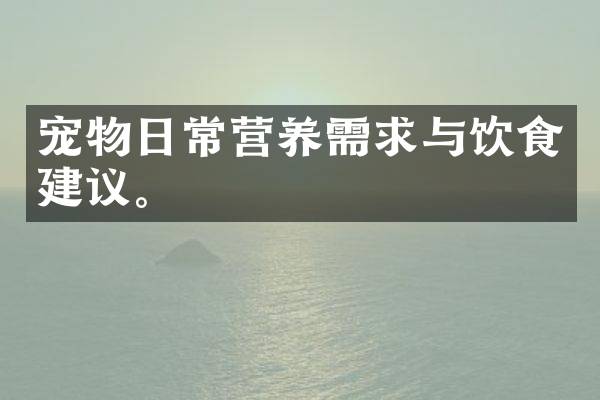 宠物日常营养需求与饮食建议。