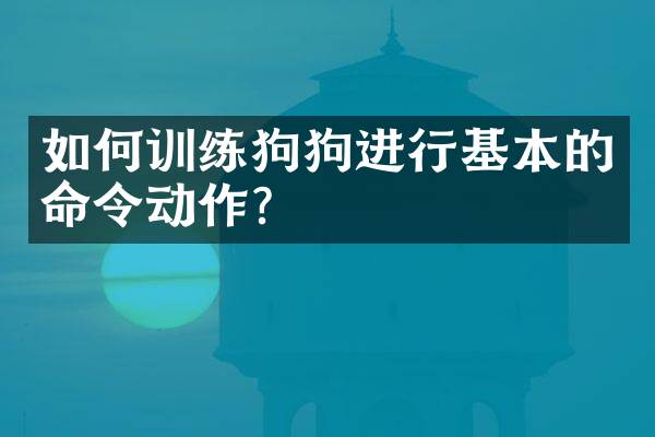 如何训练狗狗进行基本的命令动作？