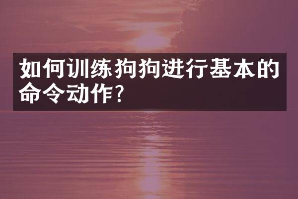 如何训练狗狗进行基本的命令动作？