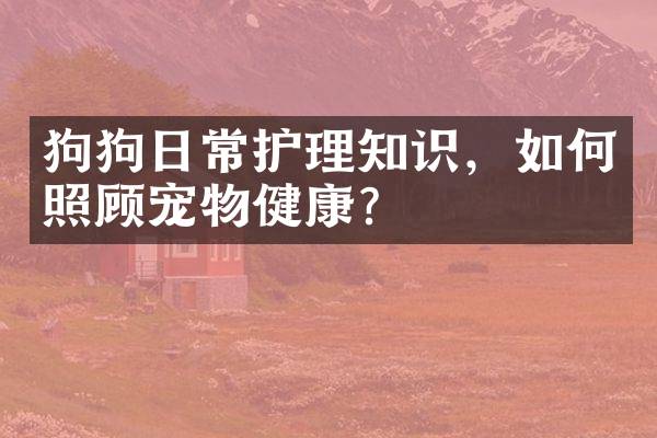 狗狗日常护理知识，如何照顾宠物健康？