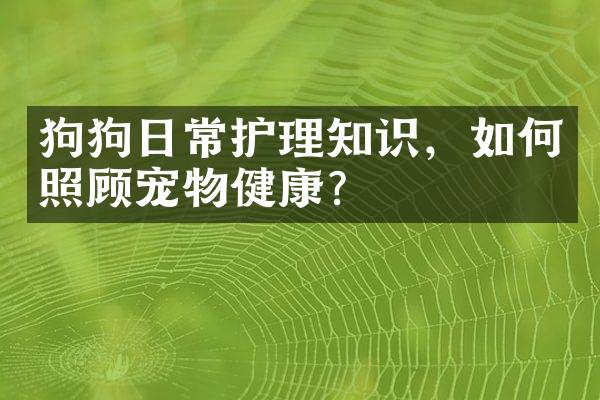 狗狗日常护理知识，如何照顾宠物健康？