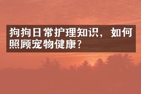 狗狗日常护理知识，如何照顾宠物健康？