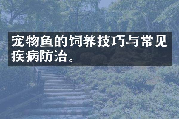 宠物鱼的饲养技巧与常见疾病防治。